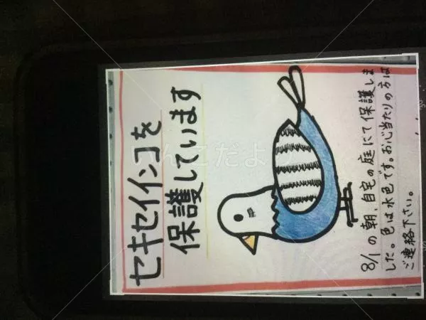 コメントの画像