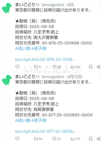 コメントの画像