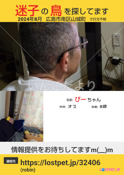 迷い鳥の写真