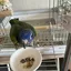 アケボノインコ