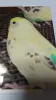 Profile picture for user ruruhanapon