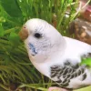 Profile picture for user cotton