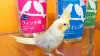 Profile picture for user ゆずぽん