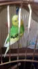 Profile picture for user ranrui