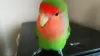 Profile picture for user シンタニハナコ
