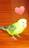 Profile picture for user Sinta zzt231