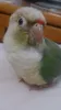 Profile picture for user きよのすけ