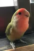 Profile picture for user えりつぃん