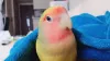Profile picture for user satoai