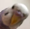 Profile picture for user あおママ
