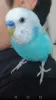 Profile picture for user りょう