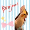 Profile picture for user みおみお