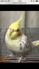 Profile picture for user kariya maigo