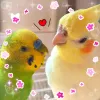 Profile picture for user よしみ