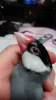 Profile picture for user ハウス
