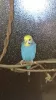 Profile picture for user masatoc