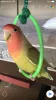 Profile picture for user とっす