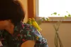 Profile picture for user くどうのぶえ