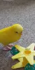 Profile picture for user AIAI
