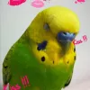 Profile picture for user Julz18