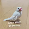 Profile picture for user トトちゃんのママ