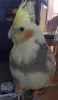 Profile picture for user Kayo1970