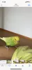 Profile picture for user つのつのびぃ