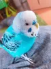 Profile picture for user ひろ9783