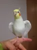 Profile picture for user ガガさん