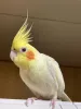 Profile picture for user オクノ ヤスヨ