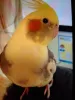 Profile picture for user あさと、うみくん
