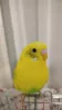 Profile picture for user かどまま