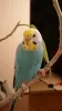 Profile picture for user nanatoto0406