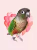 Profile picture for user みやざき