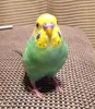 Profile picture for user てらしま