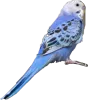 Profile picture for user zuppo