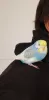 Profile picture for user eri.eri
