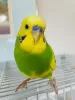 Profile picture for user sunsun