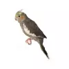 Profile picture for user フェリーチェUNO