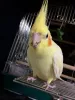 Profile picture for user たーひゃん
