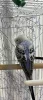Profile picture for user avril0418