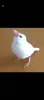 Profile picture for user daifuku
