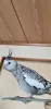 Profile picture for user 鳥飼