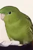 Profile picture for user なかよし