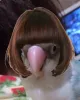 Profile picture for user teru2