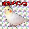 Profile picture for user lunarium09