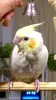 Profile picture for user nao