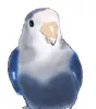 Profile picture for user 小太郎