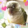Profile picture for user ☆由良☆