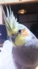 Profile picture for user qwrmm123
